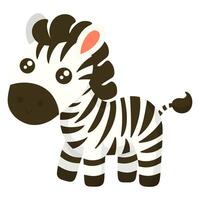 Cute little zebra. Vector illustration