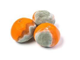 moldy mandarine on a white photo