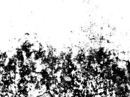 black and white texture vector. Distressed overlay texture vector