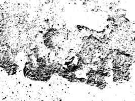 Grunge background black and white. Texture vector