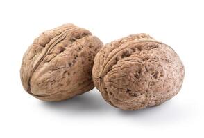 walnut ob white background photo