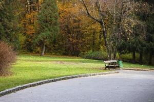 hermosa naturaleza otoño paisaje. paisaje ver en otoño ciudad parque con dorado amarillo follaje en nublado día foto