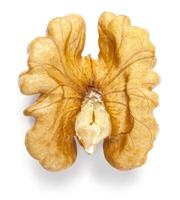 walnut isolated on white photo