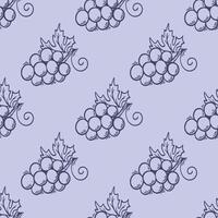 Bunches of purple grapes seamless pattern vector