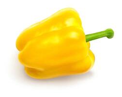 yellow pepper isolated photo