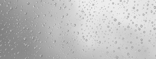 Background of water drops photo