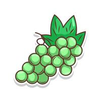 Grape fruit cartoon illustration art vector