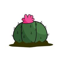 cactus plant illustration vector art