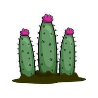 cactus plant illustration vector art