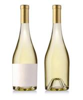 wine bottles isolated on white photo