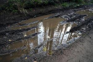 Muddy tracks with puddles on wet muddy surface in forest path photo