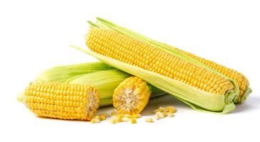 maíz sobre fondo blanco foto