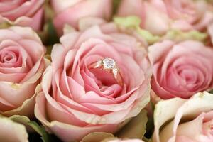 Gold diamond engagement ring in beautiful pink rose flower among big amount of roses in big bouquet close up photo