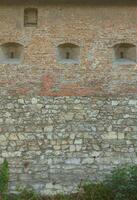 Large stone wall of an ancient castle, overgrown with massive ivy branches in Lviv, Ukraine photo