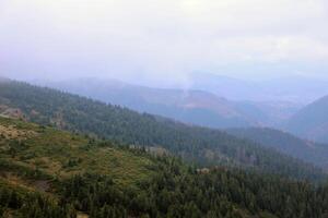 Morning view from the Dragobrat mountain peaks in Carpathian mountains, Ukraine. Cloudy and foggy landscape around Drahobrat Peaks photo