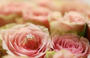 Gold diamond engagement ring in beautiful pink rose flower among big amount of roses in big bouquet close up photo