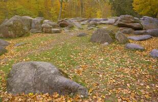 Beautiful Nature Autumn landscape. Scenery view on autumn city park with golden yellow foliage in cloudy day photo