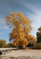 Beautiful autumn landscape with lake and multicoloral trees. Picturesque place with lake and tall trees photo