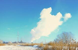 The industrial plant is located behind the swampy terrain, covered with snow. Large field of yellow bulrushes photo