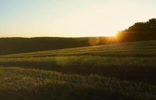 Field landscape during sunset after burning last year's grass photo
