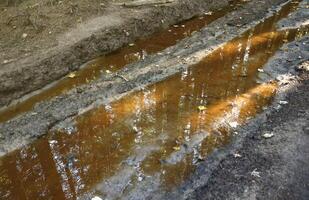 Muddy tracks with puddles on wet muddy surface in forest path photo