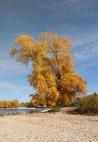Beautiful autumn landscape with lake and multicoloral trees. Picturesque place with lake and tall trees photo