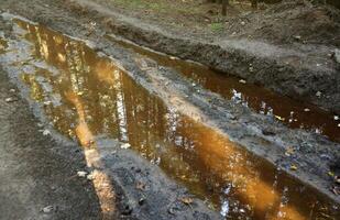 Muddy tracks with puddles on wet muddy surface in forest path photo