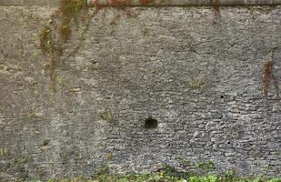 Very old brick stone wall of castle or fortress of 18th century. Full frame wall with obsolete dirty and cracked bricks photo