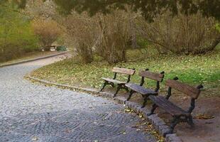 hermosa naturaleza otoño paisaje. paisaje ver en otoño ciudad parque con dorado amarillo follaje en nublado día foto