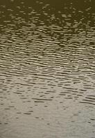 la textura del agua oscura del río bajo la influencia del viento, impresa en perspectiva. imagen vertical foto