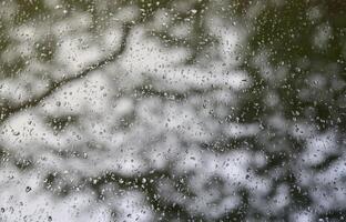 A photo of rain drops on the window glass with a blurred view of the blossoming green trees. Abstract image showing cloudy and rainy weather conditions