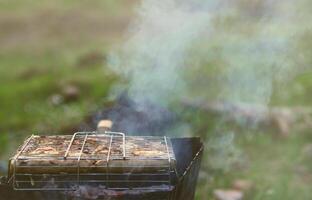 los shish kebabs de alitas de pollo se fríen en el campo. una clásica barbacoa al aire libre. el proceso de freír carne en carbón foto