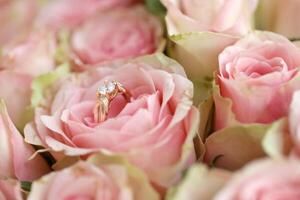 Gold diamond engagement ring in beautiful pink rose flower among big amount of roses in big bouquet close up photo