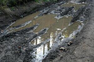 Muddy tracks with puddles on wet muddy surface in forest path photo