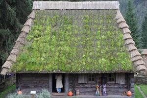 Huge thatched roof of traditional ukrainian house. Straw roof with dried grass photo