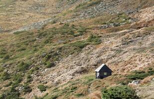 Single wooden hut on hilly mountains terrain with fir trees and rough relief. Coniferous forest in the foreground. Tourism, travel photo