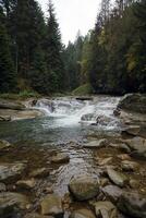 A bright blue river flowing through forest as the sun begins to set in a hidden park along the scenic drive in Hoverla mountains area photo