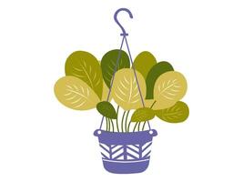 aesthetic house plants on pot sticker element illustration vector