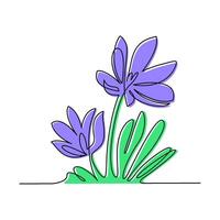 Spring flowers crocus drawn by one line. Vector illustration on a white background.