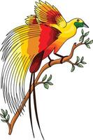 vector bird of paradise perched on a tree branch