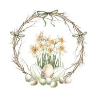 Watercolor Easter wreath made of branches, with yellow daffodils and Easter eggs, decorated with bows. Easter holiday illustration hand drawn. Sketch on isolated background for greeting cards vector