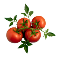 ai generiert frisch rot Tomaten mit Blätter isoliert auf transparent Hintergrund png
