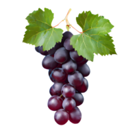 AI generated Fresh red grape with leaves isolated on transparent background png