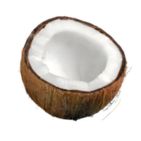 AI generated Coconut isolated on transparent background png