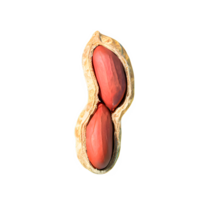 ai généré cacahuètes isolé sur transparent Contexte png