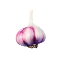 AI generated Garlic isolated on transparent background png