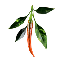 AI generated Fresh chilli with leaves isolated on transparent background png