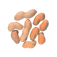 ai généré cacahuètes isolé sur transparent Contexte png