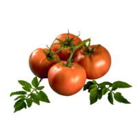 AI generated Fresh tomatoes with leaves isolated on transparent background png