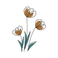 tulipanes flor diseño vector